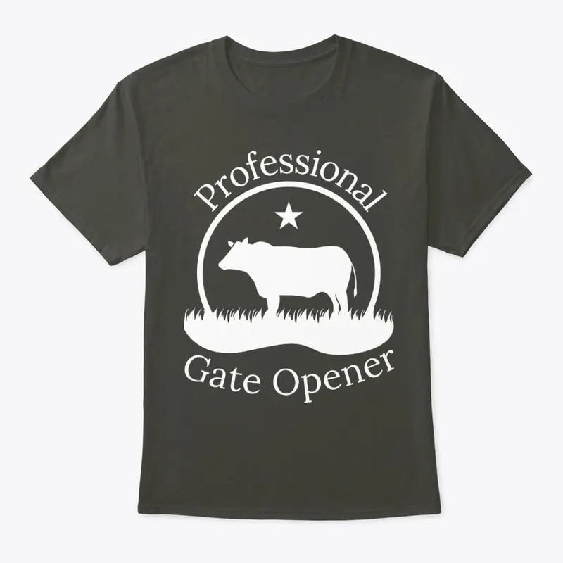 Professional Gate Opener